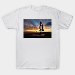 The Kite of Aberavon - 2013 T-Shirt